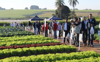 Dia de Campo da Agristar tem número recorde de visitantes durante a Hortitec