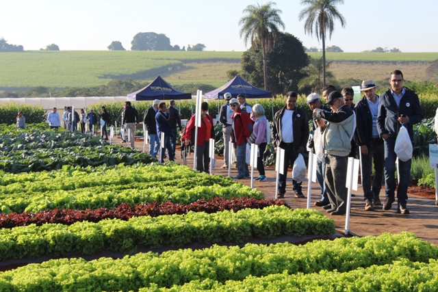 Dia de Campo da Agristar tem número recorde de visitantes durante a Hortitec