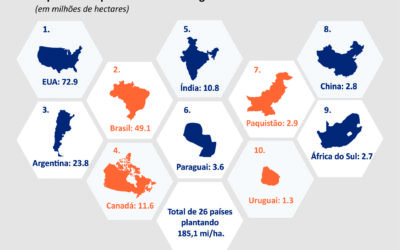 Brasil apresenta maior crescimento global na adoção de transgênicos