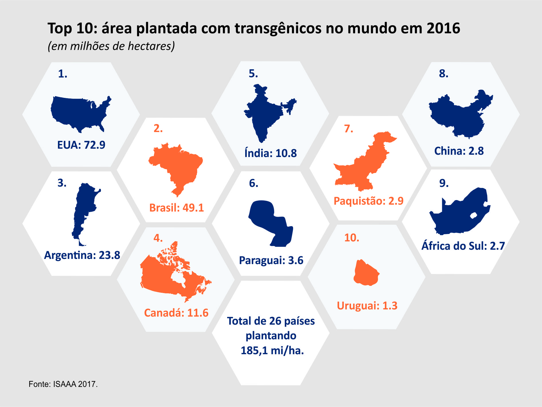 Brasil apresenta maior crescimento global na adoção de transgênicos