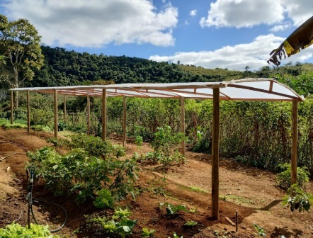 Cultivo protegido no controle de danos por chuvas