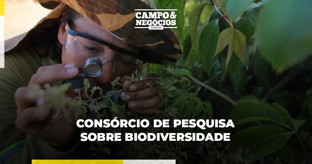 Consórcio de pesquisa sobre biodiversidade