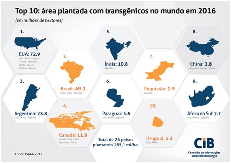 Brasil apresenta maior crescimento global na adoção de transgênicos