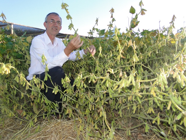 Agrocultivo investe em tecnologias hidropônicas