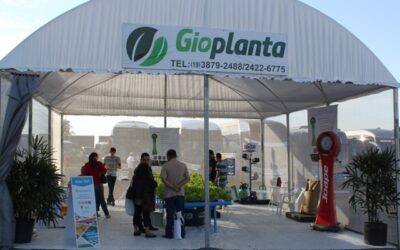 Gioplanta oferece soluções práticas para cultivo hidropônico