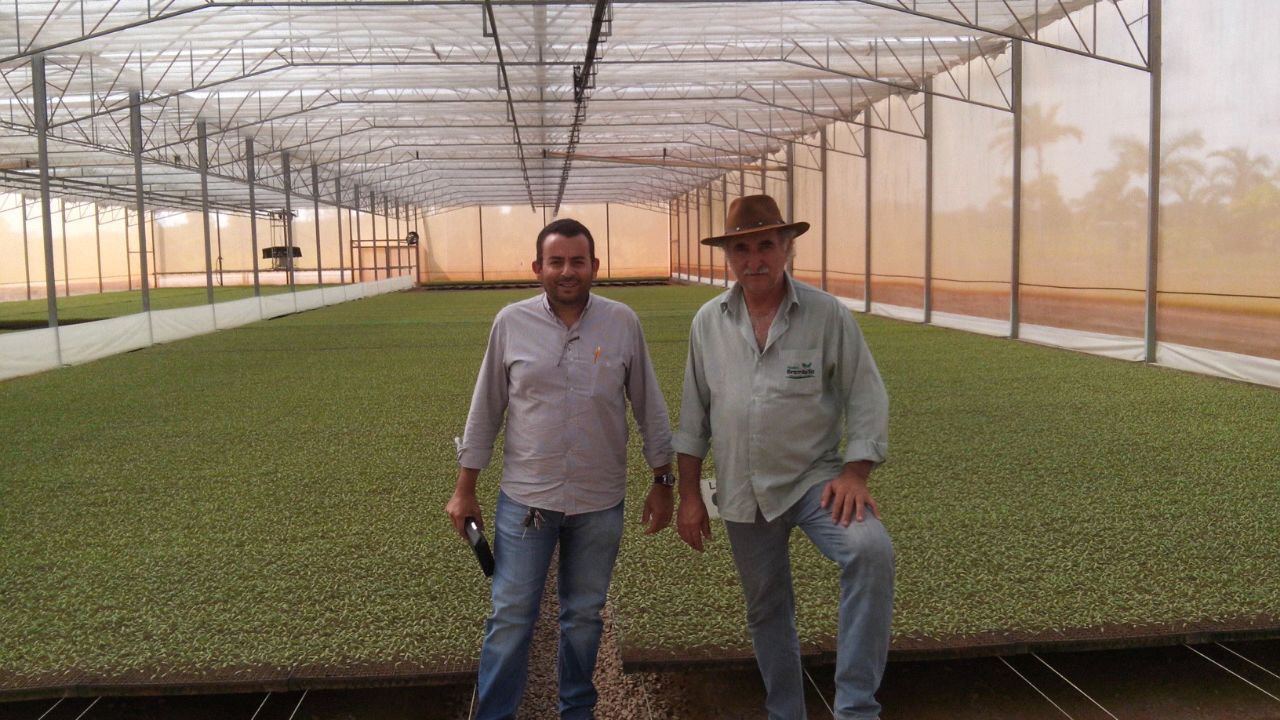 A importância do manejo de luz e sua influência nas plantas em ambiente protegido