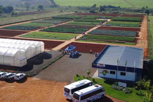 A Agristar realizará o tradicional Open Field Day - Crédito Divulgação