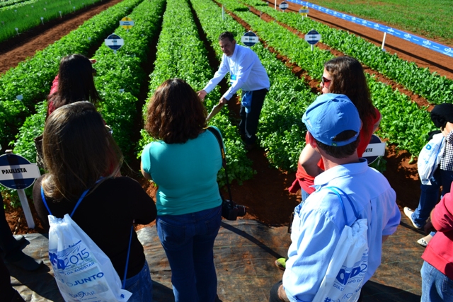 O Dia de Campo Open Field Day aconteceu na Estação Experimental da Agristar - Fotos Agristar