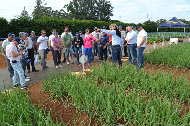 Durante o evento foi apresentadaa a cebola híbrida Celebra F1- Fotos Agristar