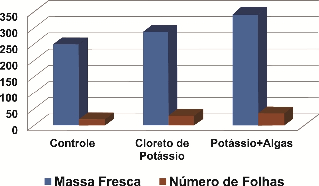 Gráfico 1