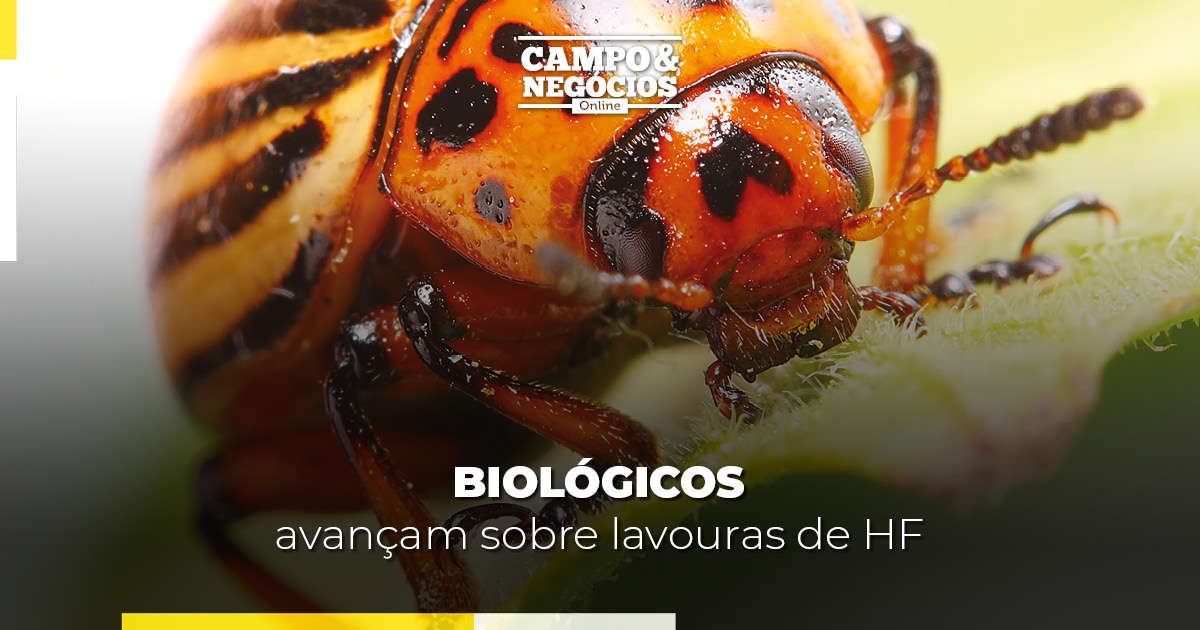 Biológicos avançam sobre lavouras de HF