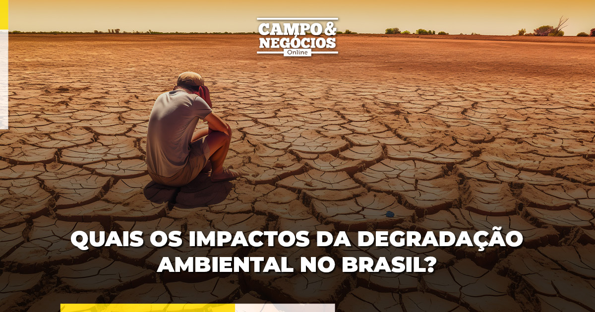 Quais os impactos da degradação ambiental no Brasil?