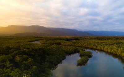 Registro de CPR Verde permite que empresas compensem emissões de carbono