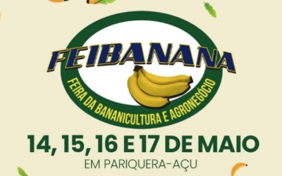 Feibanana 2024