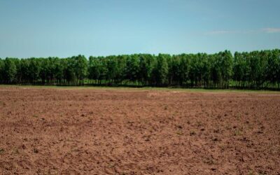 Agricultura celebra o Dia Nacional da Conservação do Solo