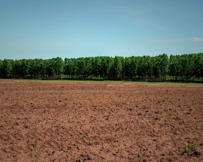 Agricultura celebra o Dia Nacional da Conservação do Solo