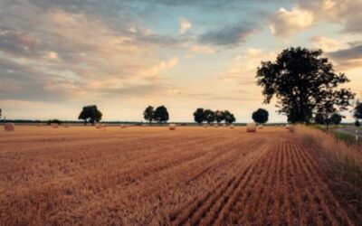 Conservação do solo é grande aliada na adaptação às mudanças climáticas