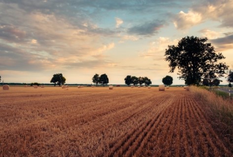 Conservação do solo é grande aliada na adaptação às mudanças climáticas