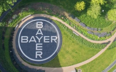 Bayer terá 10 grandes lançamentos nos próximos 10 anos