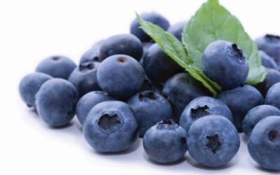 Cultivo de blueberries vem se destacando no Brasil