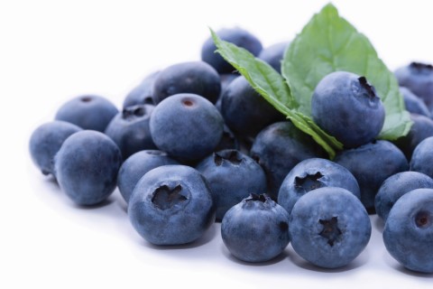 Cultivo de blueberries vem se destacando no Brasil