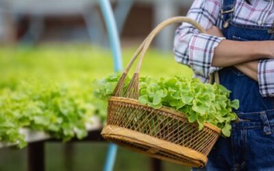 Brasil se destaca no cenário mundial com agricultura sustentável e multimilionária