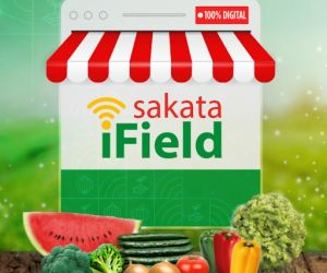 Sakata iField: evento online oferece conteúdo técnico gratuito aos produtores