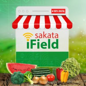 Sakata iField: evento online oferece conteúdo técnico gratuito aos produtores