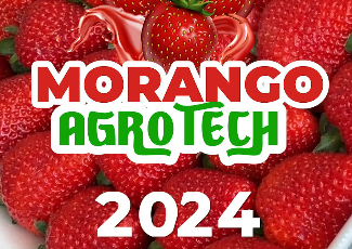 Morango Agrotech 2024