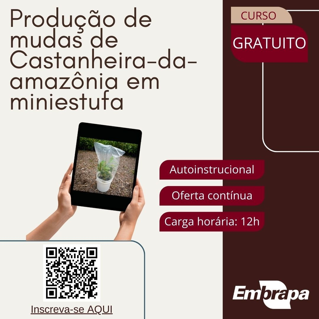 Curso on-line para produção de castanheira-da-amazônia em miniestufa tem inscrições abertas