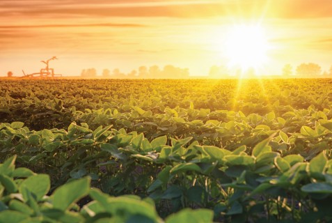 Como o agro vai reagir às mudanças climáticas?