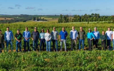 Cafeicultores do Cerrado Mineiro são os primeiros do mundo a receberem selo de baixo carbono