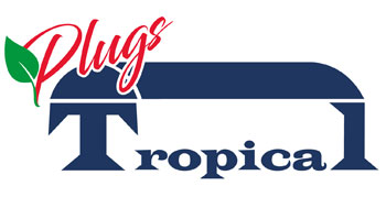 tropical-plugs