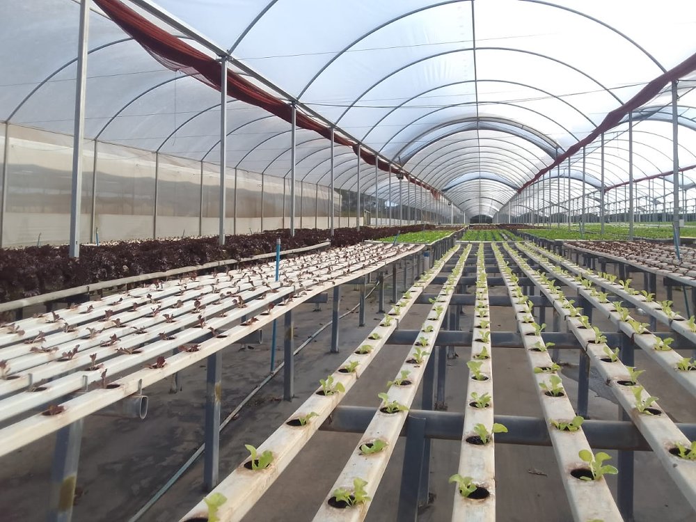 Sistema de Hidroponia