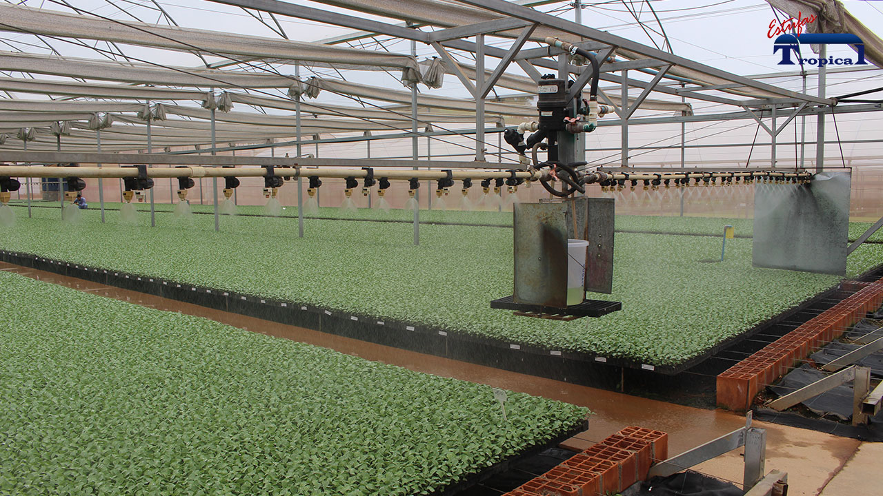 Sistema de Irrigação em Estufa Agrícola