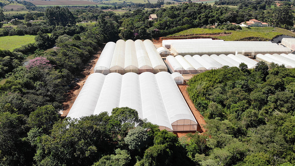 Viveiro para Produção de Mudas